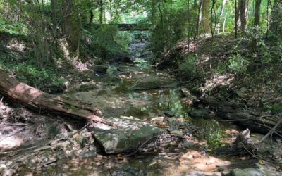 Pendergrast Farm: An Atlanta Legacy