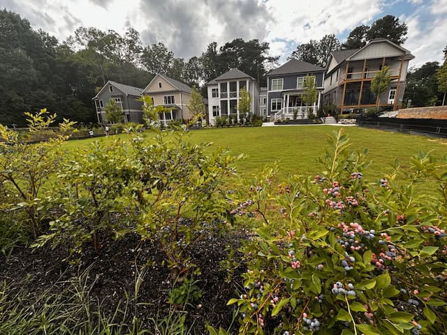 row of homes overlooking green lawn and vegetation at Pendergrast Farm