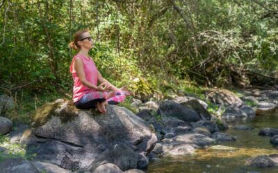 Mindfulness in Community