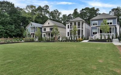 Breaking Ground: A Greener Tomorrow at an Urban Farm-to-Table Community